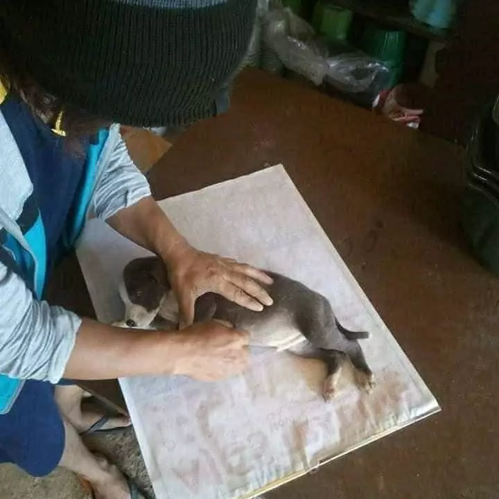 cara nyeleneh menjiplak gambar lucu © Instagram