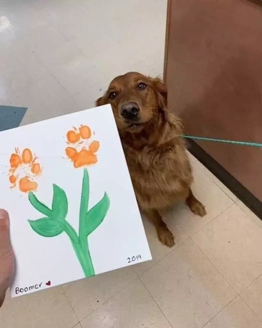 cara nyeleneh menjiplak gambar lucu © Instagram