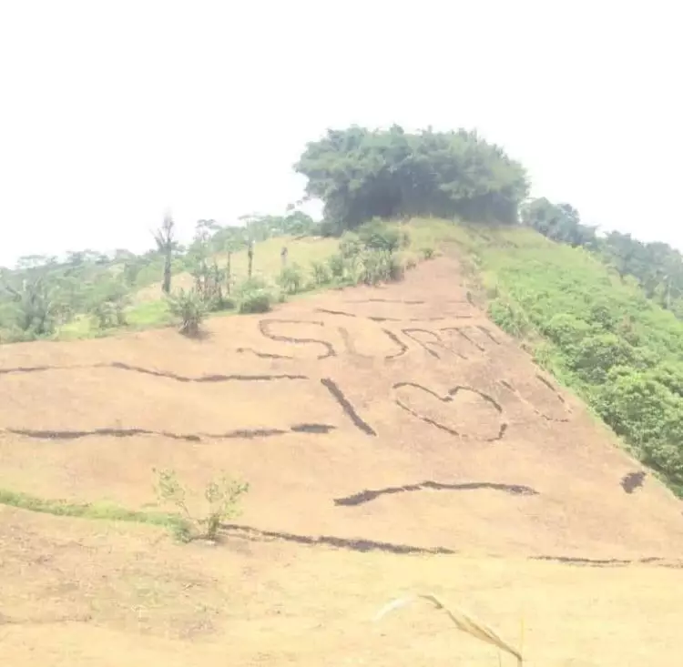 benda pas dilihat bikin bingung © Instagram benda pas dilihat bikin bingung © Instagram