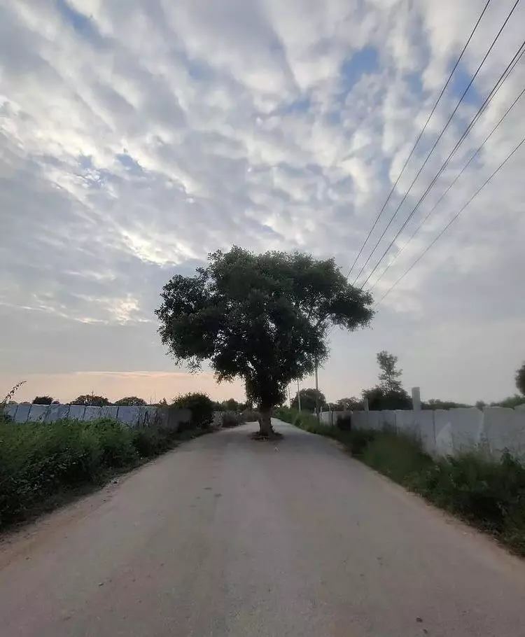 benda pas dilihat bikin bingung © Instagram benda pas dilihat bikin bingung © Instagram