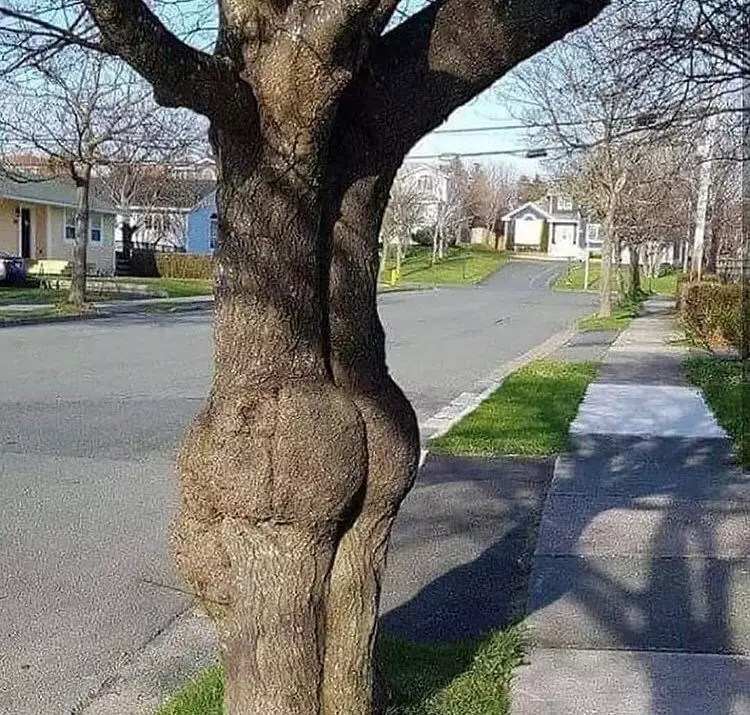 benda pas dilihat bikin bingung © Instagram benda pas dilihat bikin bingung © Instagram