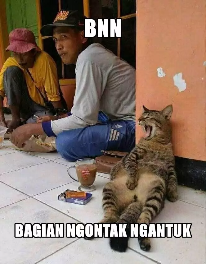 cuitan kocak singkatan BNN © Twitter cuitan kocak singkatan BNN © Twitter
