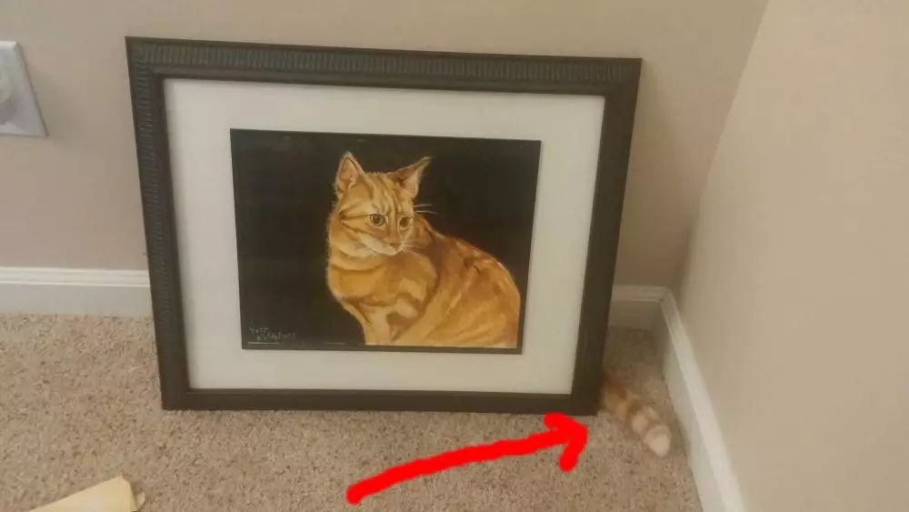 potret kucing sembunyi © Twitter potret kucing sembunyi © Twitter