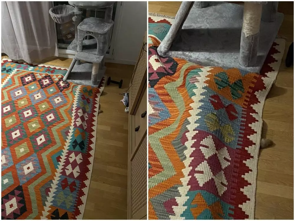 potret kucing sembunyi © Twitter potret kucing sembunyi © Twitter