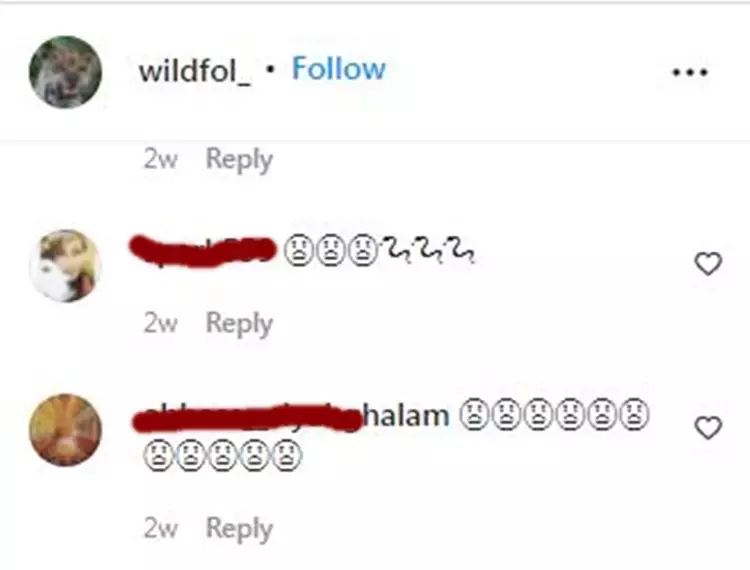 sarang ular di balik papan semen © Instagram