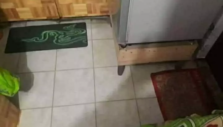 potret kelihatan mewah tapi jadi lucu © Instagram