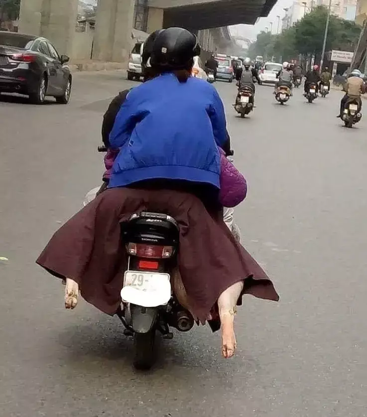 momen orang pas boncengan kocak © Instagram momen orang pas boncengan kocak © Instagram