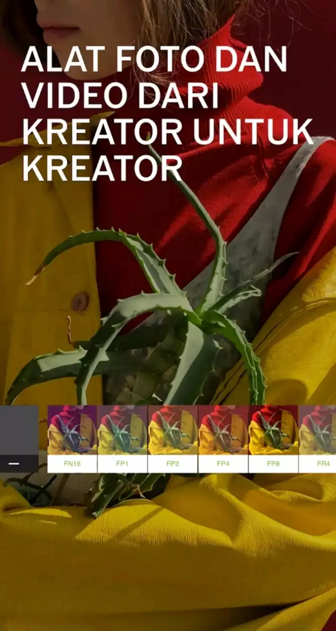 Aplikasi belajar fotografi di smartphone © 2022 brilio.net