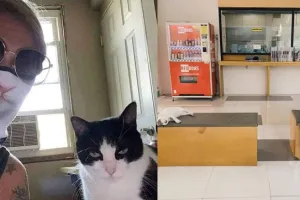 9 Potret lucu tingkah laku majikan tiru hewan kesayangannya