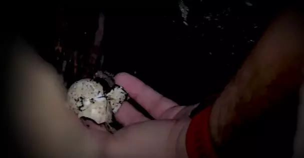 Panji temukan sarang ular di rumah Baim Wong © YouTube