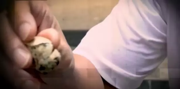 Panji temukan sarang ular di rumah Baim Wong © YouTube