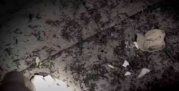 Panji temukan sarang ular di rumah Baim Wong © YouTube