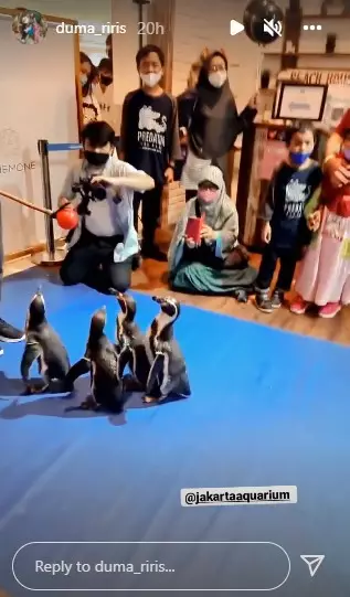 momen Judika rayakan ultah anak bertema seaworld © berbagai sumber