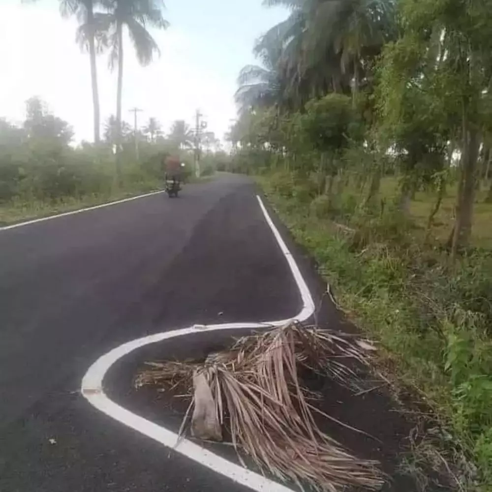 penampakan di tengah jalan lucu © berbagai sumber penampakan di tengah jalan lucu © berbagai sumber