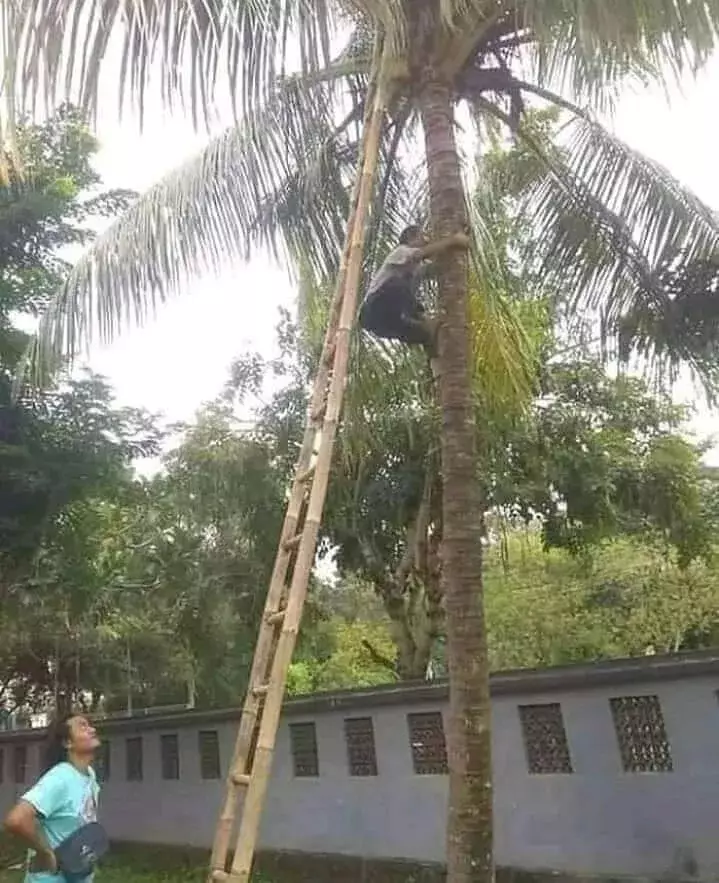 potret orang harus susah payah © Instagram