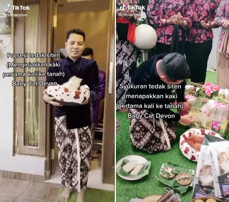 tedak siten kucing © TikTok