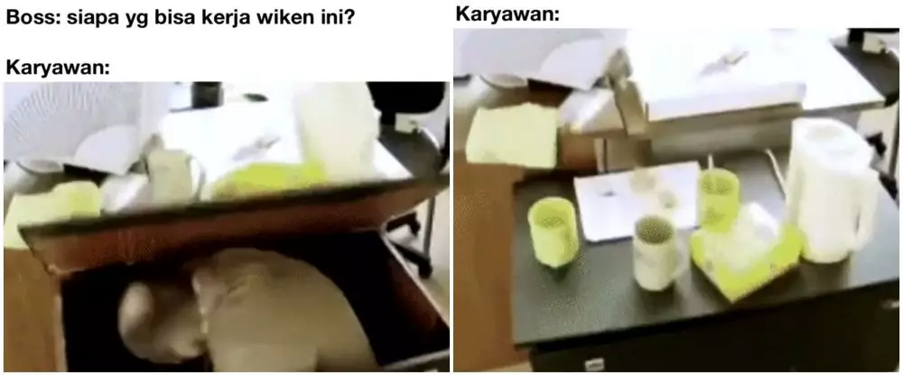 meme lucu karyawan istimewa
