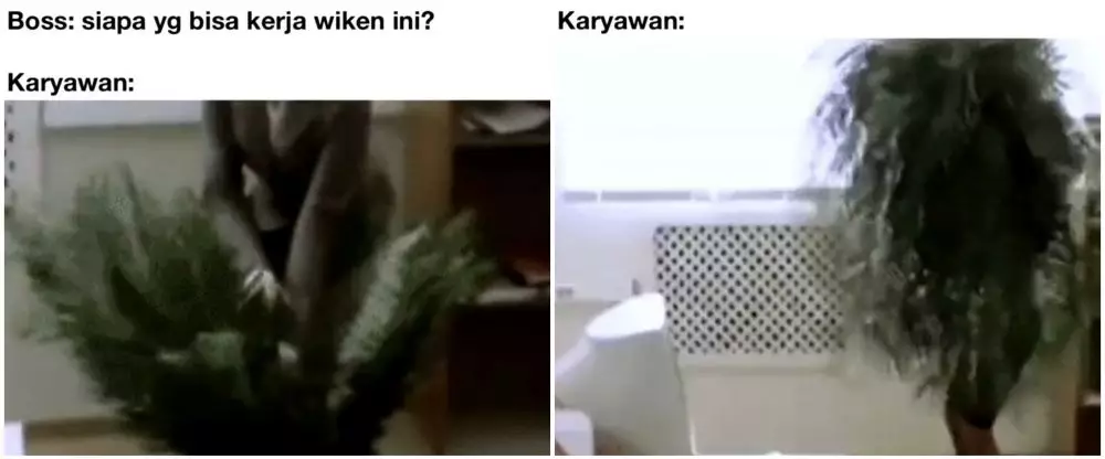 meme lucu karyawan istimewa