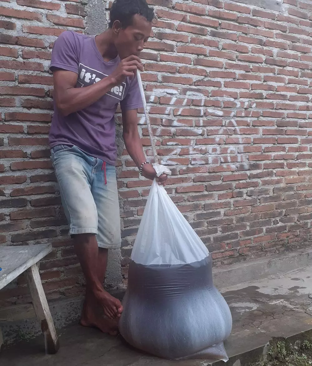 momen nyedot minuman © berbagai sumber momen nyedot minuman © berbagai sumber