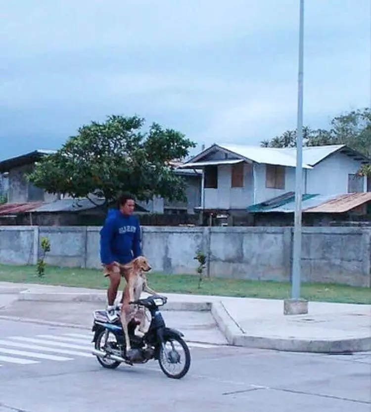 momen bersepeda motor malah lucu © Instagram