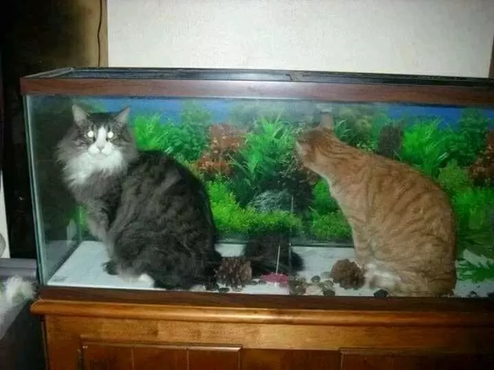 barang di tempat yang nggak biasanya © Instagram barang di tempat yang nggak biasanya © Instagram