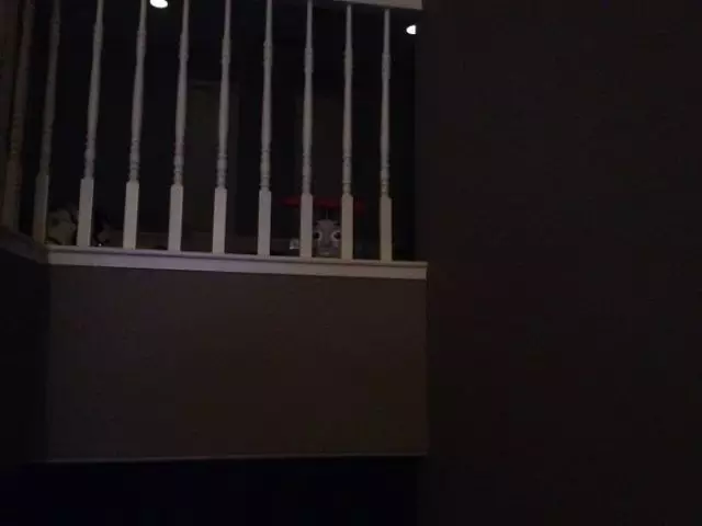 penampakan benda depan rumah lucu © Instagram