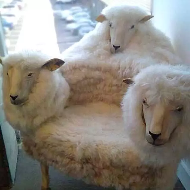 desain nyeleneh sofa rumah © berbagai sumber