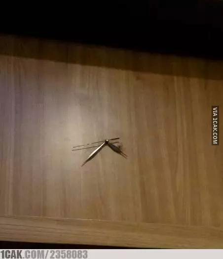 desain nyeleneh jam dinding © berbagai sumber