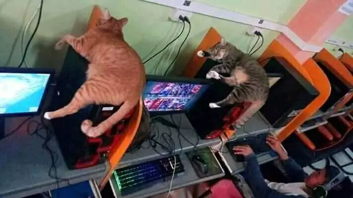 penampakan nyeleneh di warnet © berbagai sumber