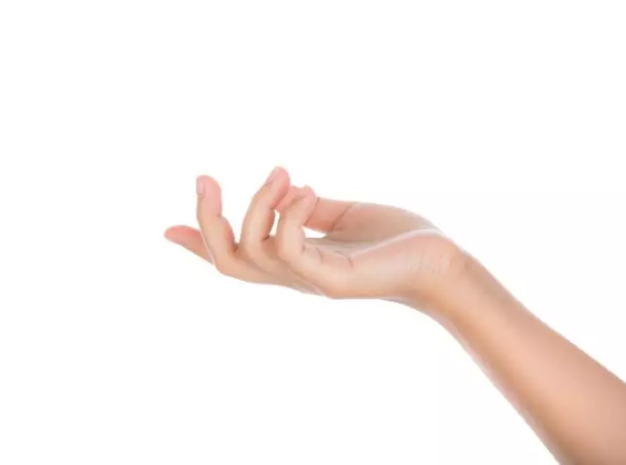 Arti mimpi kejatuhan cicak © 2022 berbagai sumber Arti mimpi kejatuhan cicak © 2022 berbagai sumber