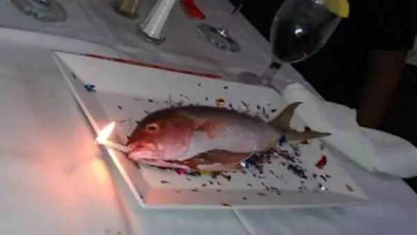 merayakan momen spesial tapi malah lucu © berbagai sumber merayakan momen spesial tapi malah lucu © berbagai sumber