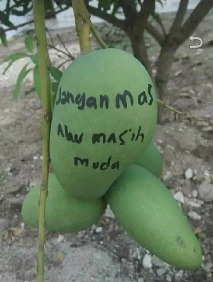 tulisan lucu buat amanin barang © berbagai sumber tulisan lucu buat amanin barang © berbagai sumber