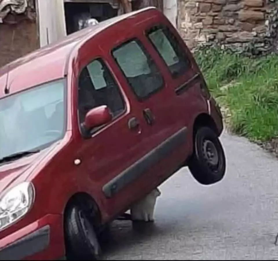 orang nggak sadar ada yang salah pas jalan © berbagai sumber