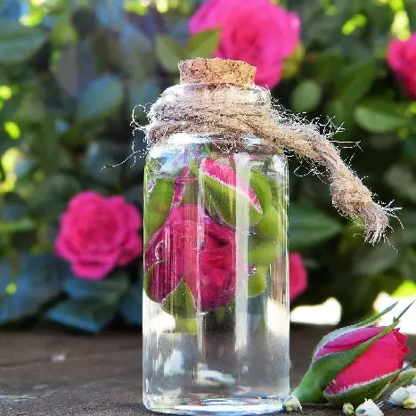 7 Manfaat air mawar untuk wajah, kulit jadi sehat dan berseri