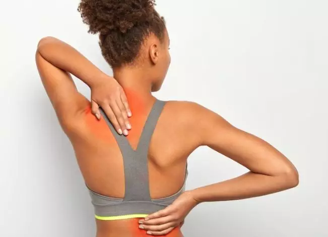 Arti mimpi digigit laba-laba © 2022 berbagai sumber 