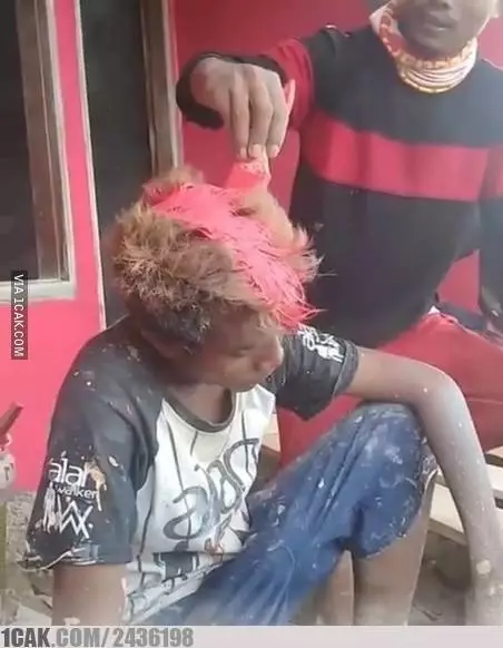 momen apes di salon aneh-aneh aja © berbagai sumber