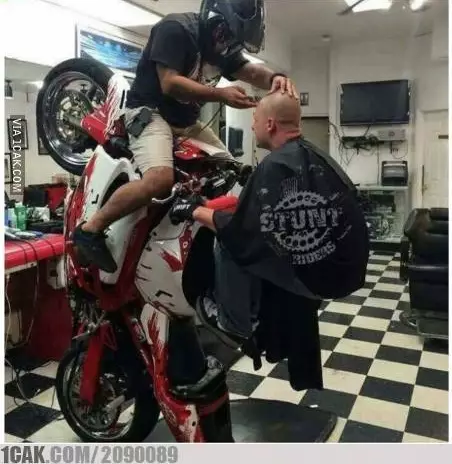 momen apes di salon aneh-aneh aja © berbagai sumber