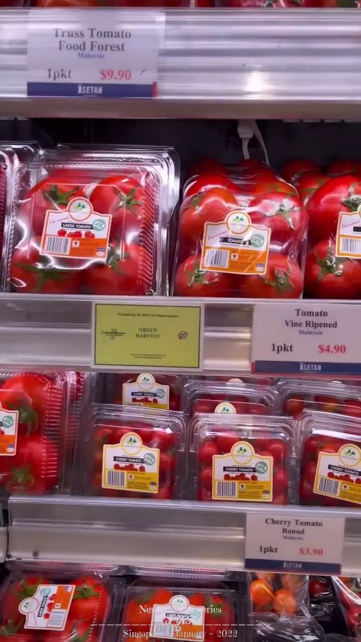 momen reino barack temani syahrini belanja © instagram