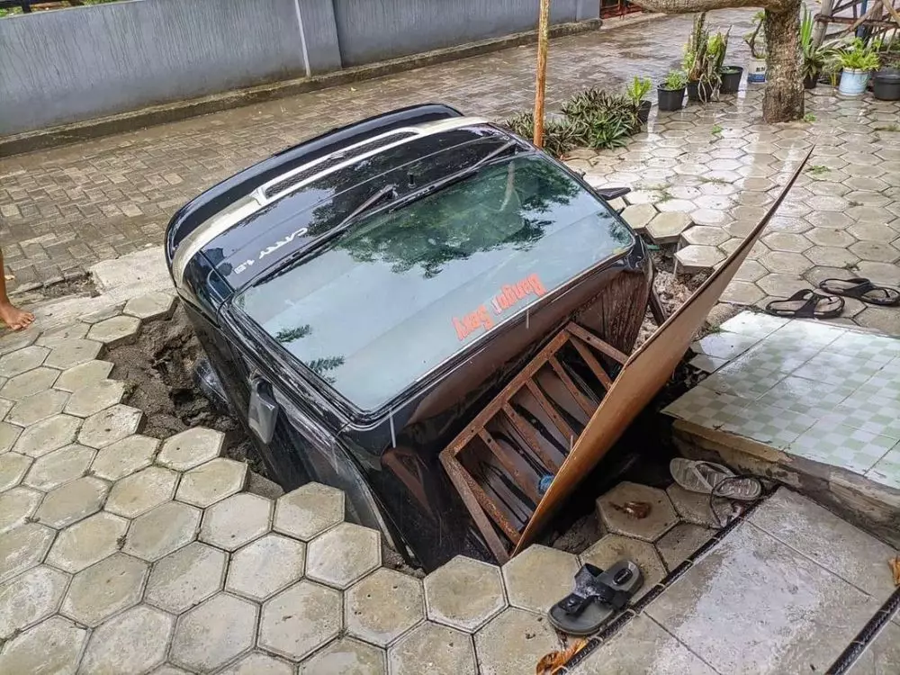 momen apes lagi parkir bingungin © berbagai sumber