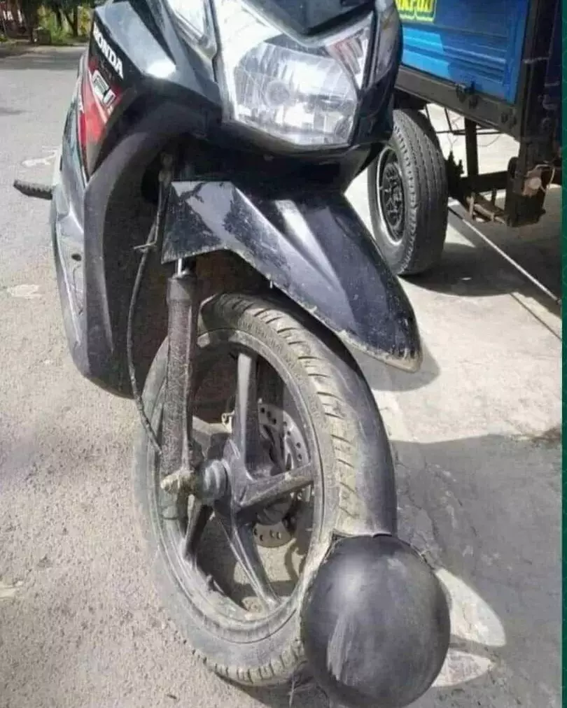 momen apes lagi parkir bingungin © berbagai sumber