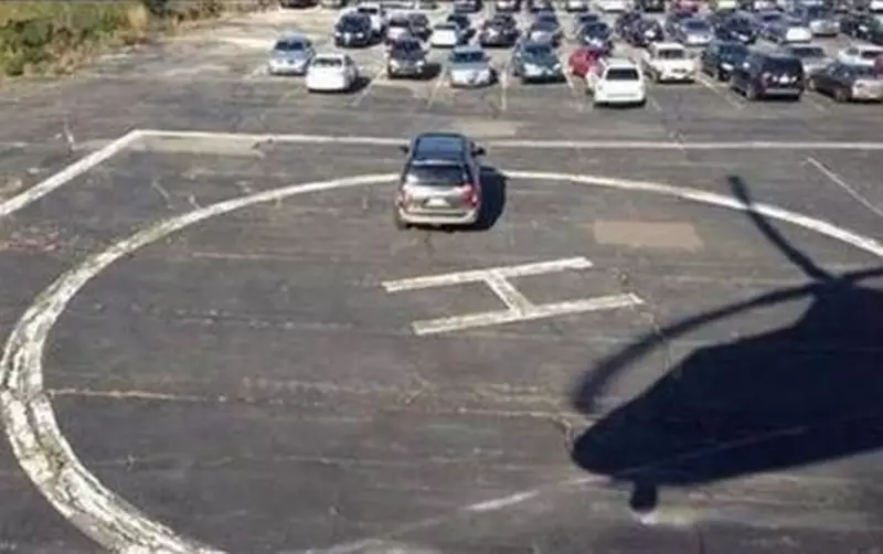 momen apes lagi parkir bingungin © berbagai sumber