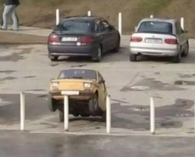 momen apes lagi parkir bingungin © berbagai sumber