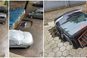 13 Momen apes saat sedang parkir, bikin nggak habis pikir