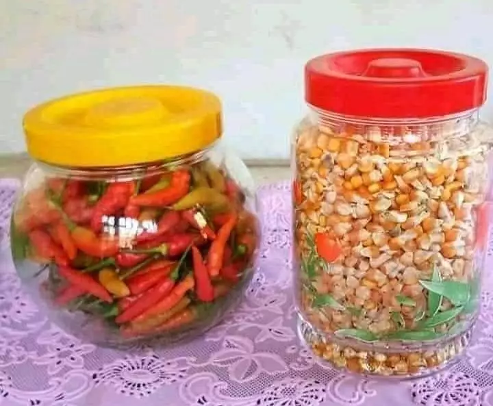 benda disuguhkan ke tamu lucu © berbagai sumber