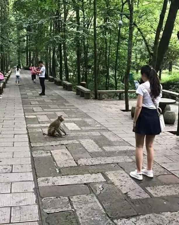 penampakan di jalan bikin mikir mau lewat © Instagram penampakan di jalan bikin mikir mau lewat © Instagram