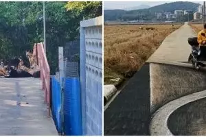 11 Penampakan di jalan ini bikin yang mau lewat jadi mikir