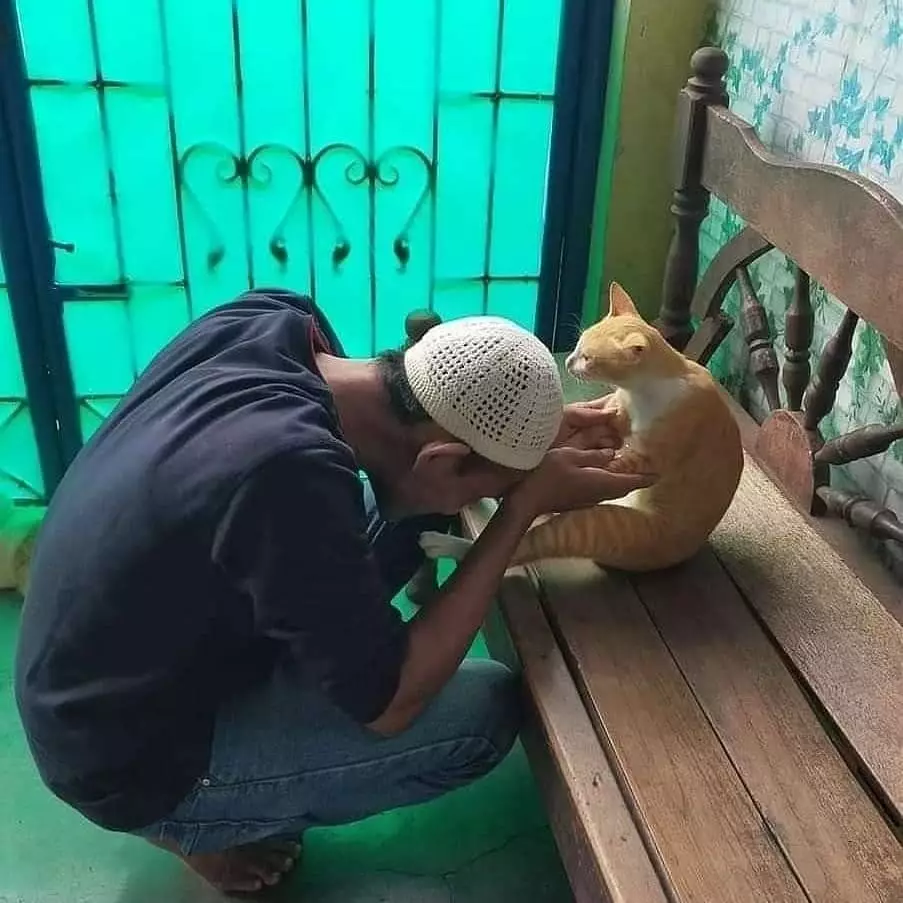 kucing akur sama manusia © Instagram kucing akur sama manusia © Instagram