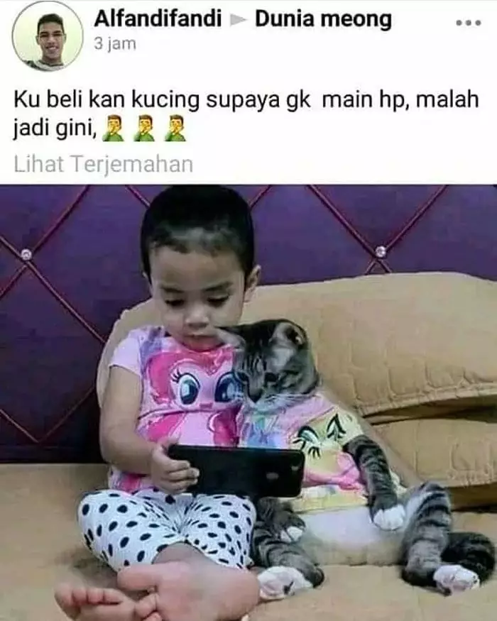 kucing akur sama manusia © Instagram kucing akur sama manusia © Instagram