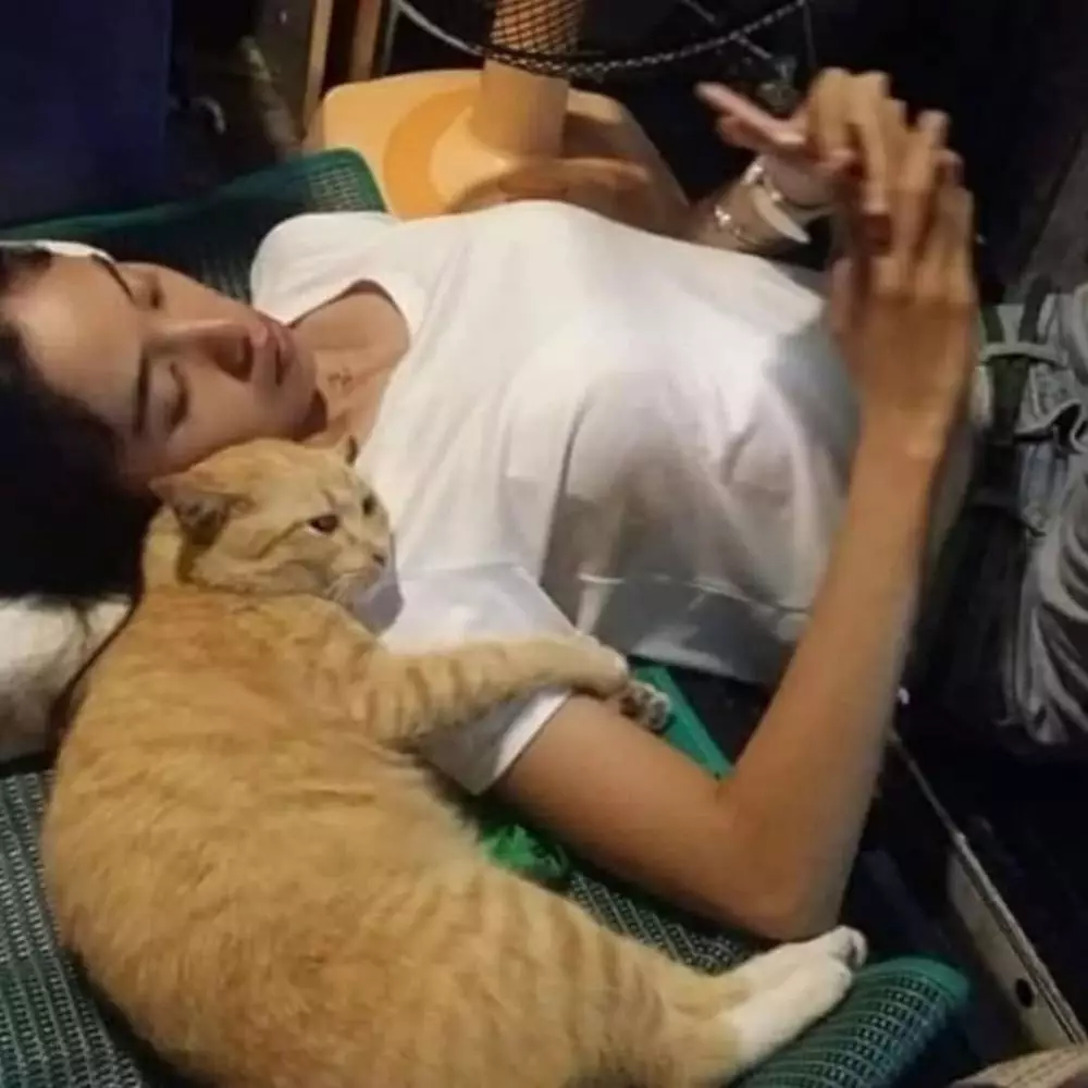 kucing akur sama manusia © Instagram kucing akur sama manusia © Instagram