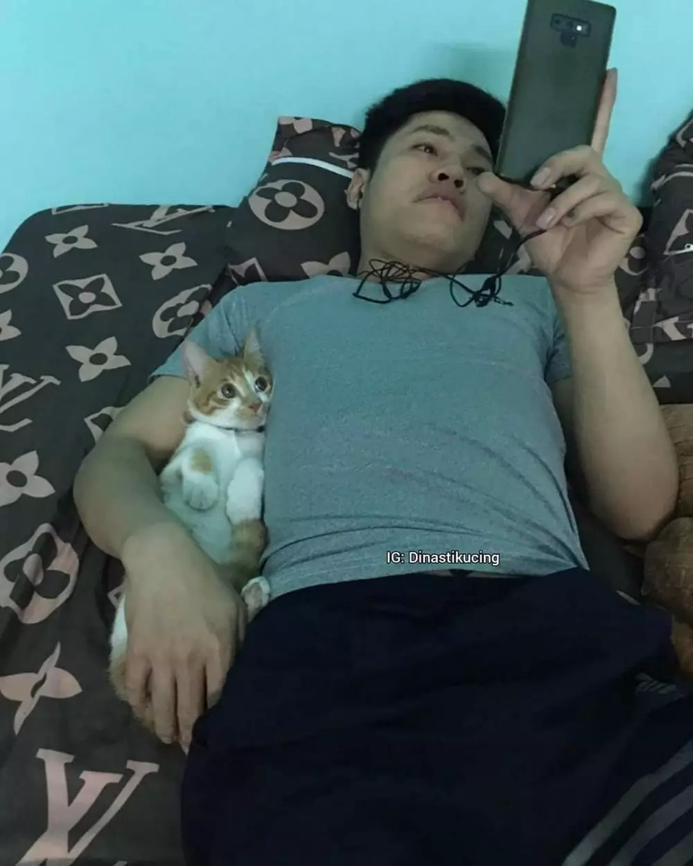 kucing akur sama manusia © Instagram kucing akur sama manusia © Instagram